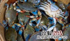 烤箱烤青蟹怎么做才好吃 青蟹烤多少时间