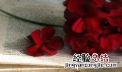 古风古韵的句子 古风古韵唯美句子