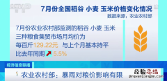农业农村部：暴雨对粮价影响有限，中秋国庆期间农产品供给有保障