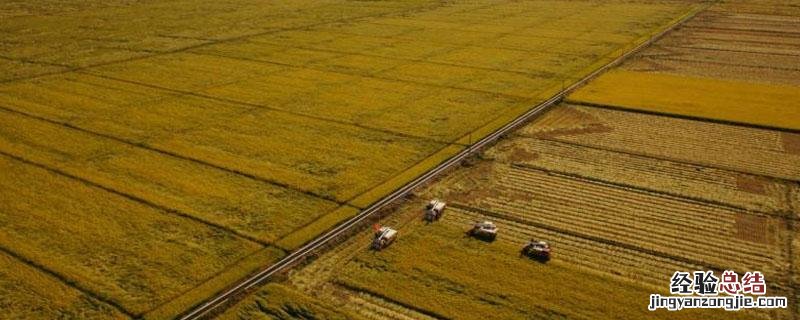 雅安市把好“五关”