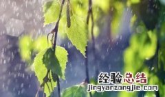 描写雨景的优美短句 描写雨景的优美短句有哪些