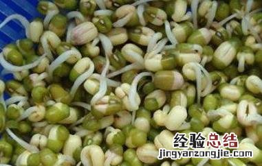绿豆芽怎么发 绿豆芽怎么发豆芽的观察日记