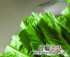 油麦菜的功效与作用 油麦菜的功效与作用禁忌