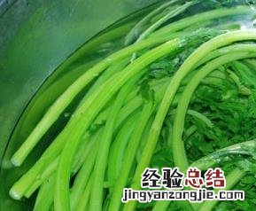 雪里红的功效与作用 腌制雪里红的功效与作用