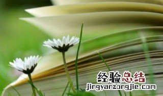 马言马语是什么意思 马言马语是什么梗
