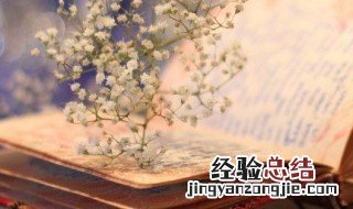 六神是哪六神 六神介绍