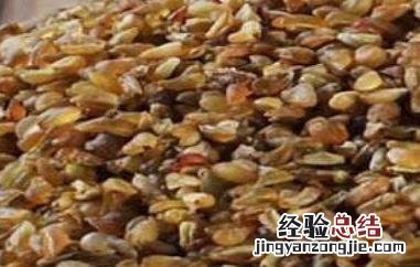 苦荞麦怎么吃最好减肥 苦荞麦怎么吃最好