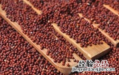 红米粥的功效与作用禁忌 红粟米粥的功效与作用