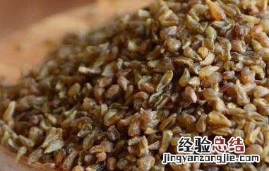 苦荞麦和苦荞米的区别 苦荞麦和荞麦米的区别