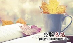 打乒乓球用英语怎么说 打乒乓球用英语怎么说怎么写