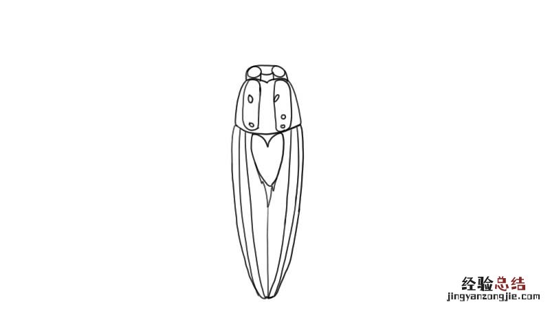 蟑螂简笔画彩色的图片大全 蟑螂简笔画