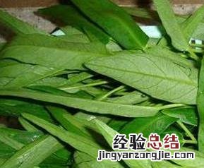 空心菜不能和什么一起吃/同吃 空心菜不能和什么一起吃