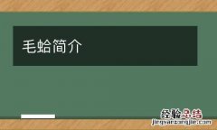 毛蛤简介