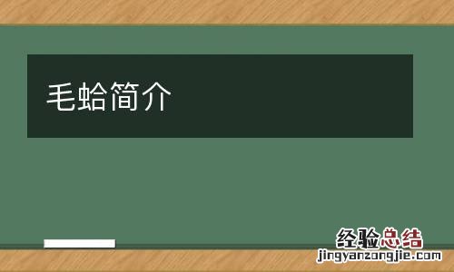 毛蛤简介