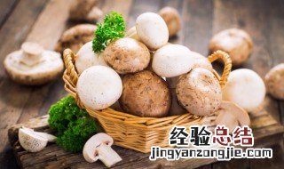 素炒蘑菇的家常做法窍门 素炒蘑菇的家常做法