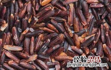 泰国红糙米怎么做好吃 泰国红糙米怎么做好吃又香