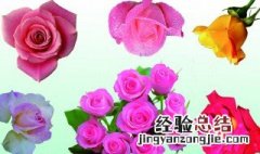 月份季度怎么分 季度是如何分的