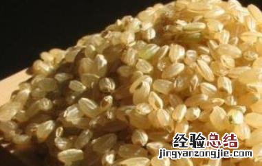 红糙米和白糙米的区别图片 红糙米和白糙米的区别