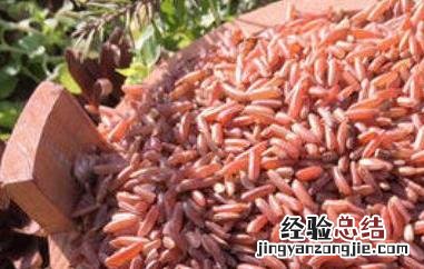 红糙米怎么吃最好 红糙米怎么吃最好消化