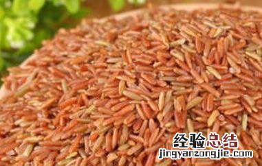 红糙米怎么吃最好 红糙米怎么吃最好消化