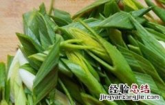 孕妇可以吃蒜苗吗孕中期 孕妇可以吃蒜苗吗