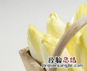 菊苣的功效与作用 菊苣的功效与作用及禁忌功效与作用