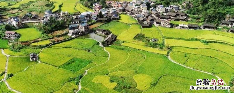 乡村振兴六个方面，乡村振兴战略的总要求和主要内容