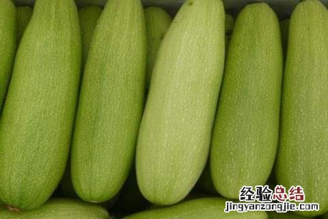 开春可以种什么蔬菜 现在春季可以种什么蔬菜呢