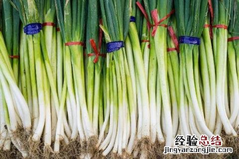 开春可以种什么蔬菜 现在春季可以种什么蔬菜呢