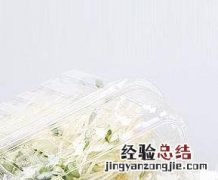 黑豆苗叶的药用价值和功效 黑豆苗叶的药用价值和功效作用
