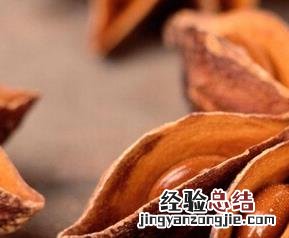大料的功效与作用 各种大料的功效与作用
