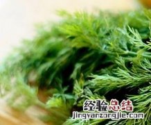小茴香怎么做好吃视频 小茴香怎么做好吃