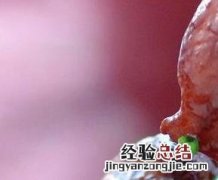 红烧肉如何做好吃又嫩 红烧肉如何做好吃