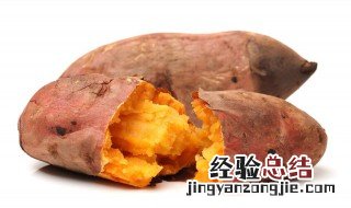 青菜红薯粥的做法大全窍门视频 青菜红薯粥的做法大全窍门
