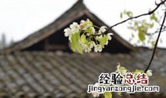 有关清明节的来源及意义作文 有关清明节的来源及意义