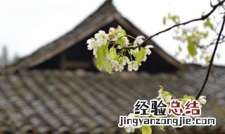 有关清明节的来源及意义作文 有关清明节的来源及意义