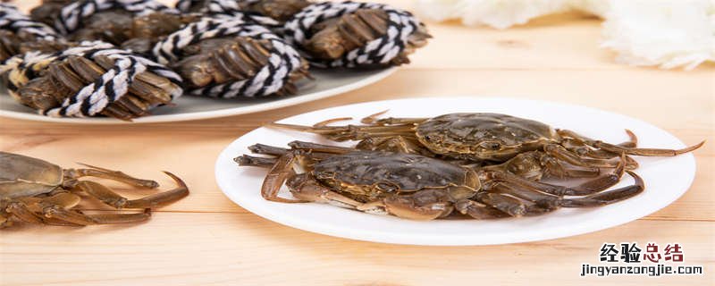 螃蟹吃什么最好 螃蟹吃什么