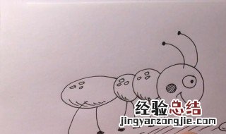 梦到蚂蚁是什么意思 梦见了蚂蚁什么意思