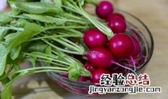 凉拌小萝卜的做法 凉拌小萝卜的做法大全家常