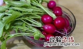凉拌小萝卜的做法 凉拌小萝卜的做法大全家常