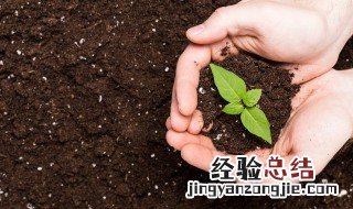 梦见泥土是什么意思 梦见泥土是什么预兆