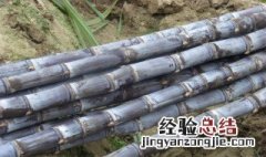 吃甘蔗嘴巴磨血泡怎么办 吃甘蔗嘴巴起血泡怎么办