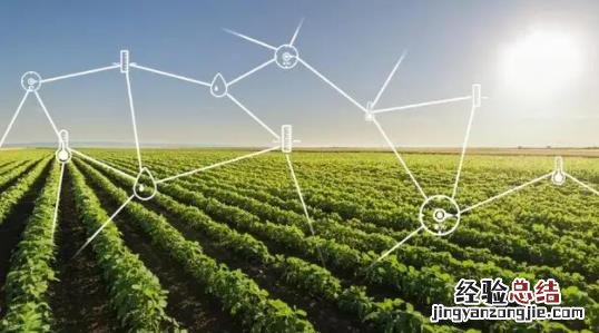 新疆阿瓦提县棉花种植的“智慧大脑”，促进棉田提质增效！