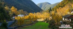 钱冲村是哪个省 湖北钱冲村