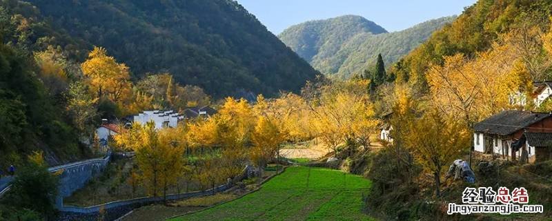 钱冲村是哪个省 湖北钱冲村