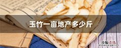 玉竹亩产干品多少斤 玉竹一亩地产多少斤