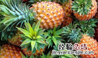 海南菠萝几月份成熟了 海南菠萝几月份成熟