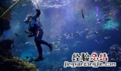 潜水员在水里怎么呼吸 潜水员怎么在水下呼吸
