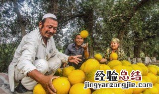 为什么新疆的大多数屋顶是平顶瓜果为什么特别甜 你知道吗
