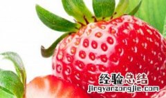 冬天草莓可以怎么吃 冬天草莓的吃法